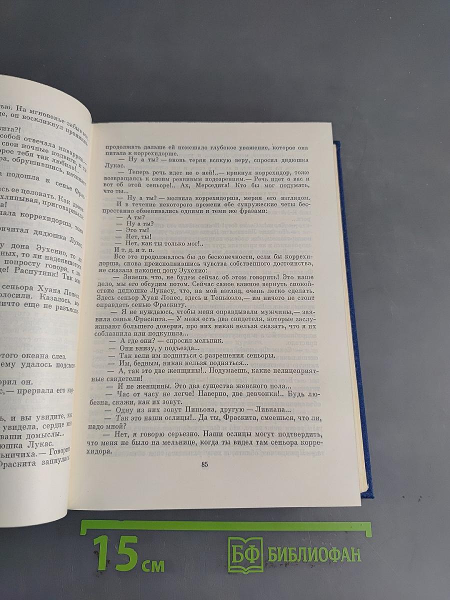 Испанская реалистическая проза XIX века
