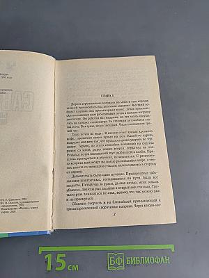 Бой без правил