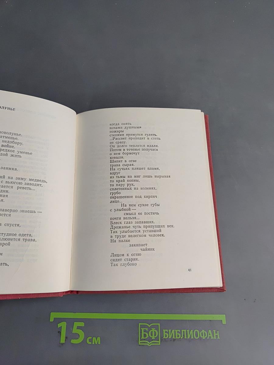 Озаренье. Книга стихов