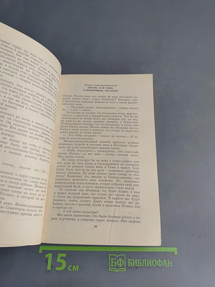 Два капитана. Книга первая