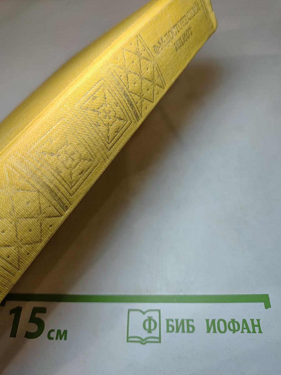 Идиот