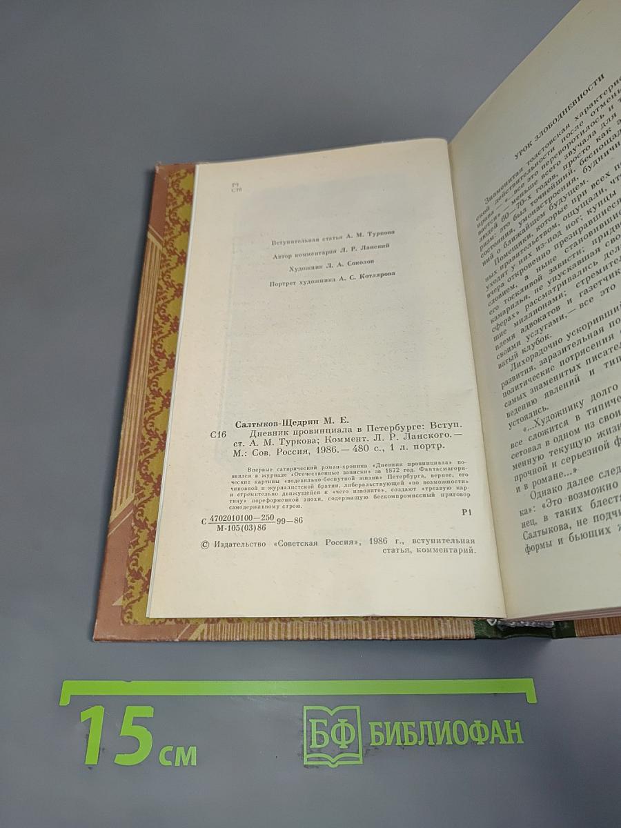 Дневник провинциала в Петербурге