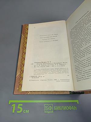 Дневник провинциала в Петербурге