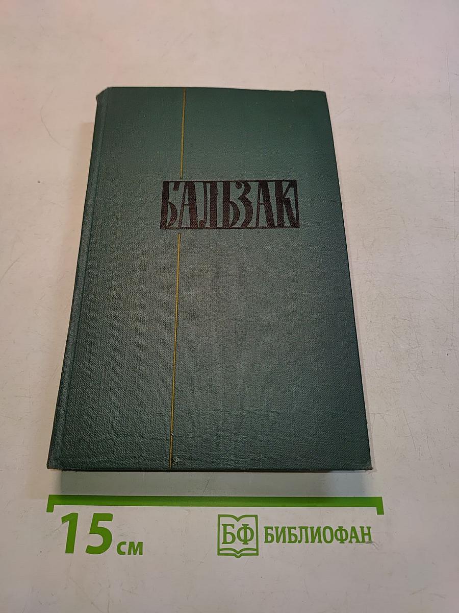 Человеческая комедия. Том 13
