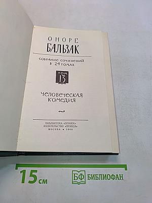 Человеческая комедия. Том 13