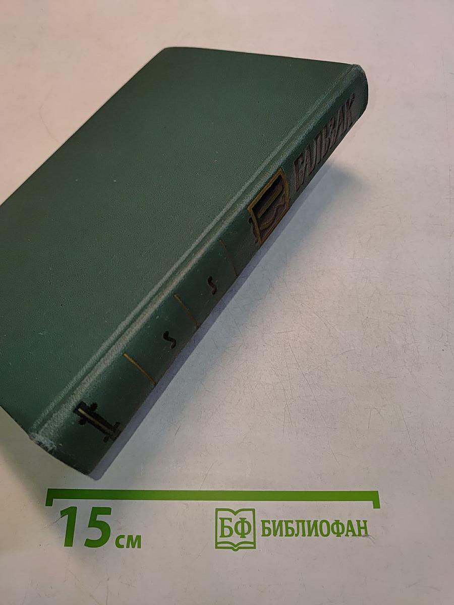 Человеческая комедия. Том 13