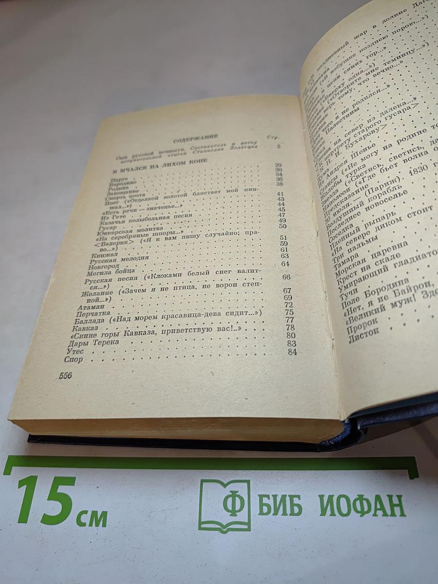 Сын ошибок трудных: Стихотворения. Поэмы