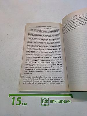 Немецкий с любовью. Иммензее. Повесть об одной любви