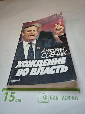 Хождение во власть