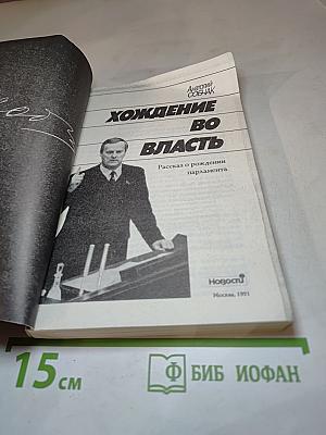 Хождение во власть