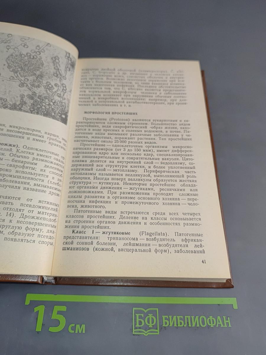 Микробиология