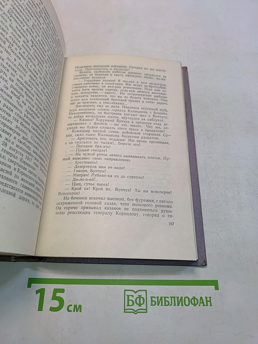 Тихий Дон. Роман в четырех книгах. Книга вторая
