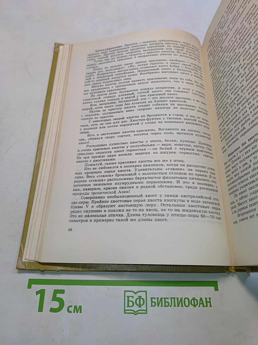 Занимательная зоология