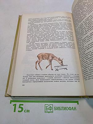 Занимательная зоология