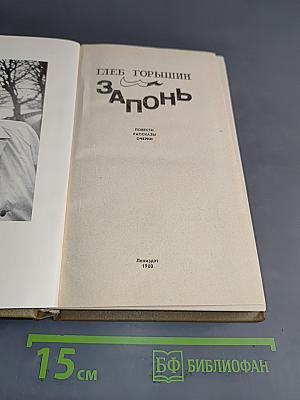 Запонь