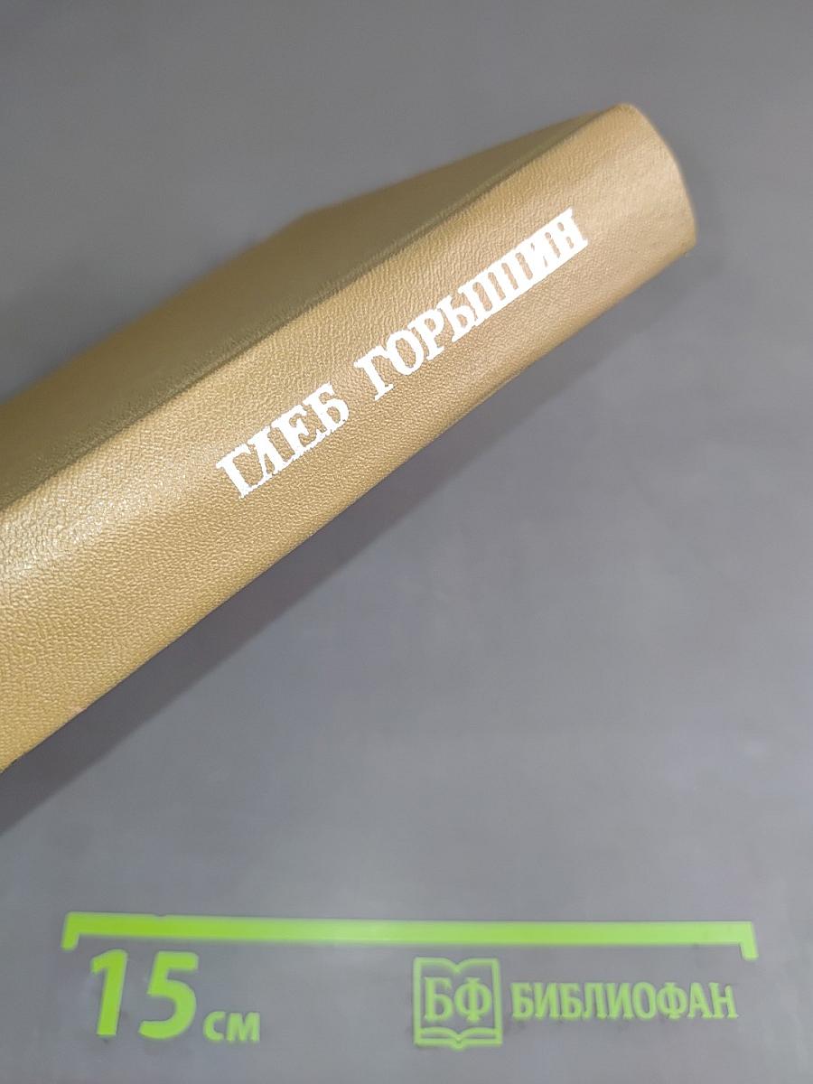 Запонь
