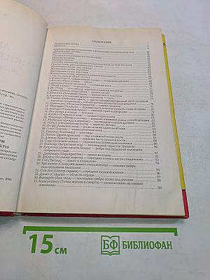 Анатомия жизни и смерти. Жизненно важные точки на теле человека