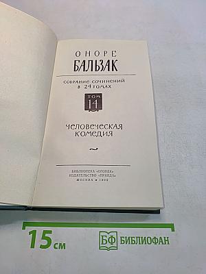 Человеческая комедия. Собрание сочинений в 24 томах. Том 14