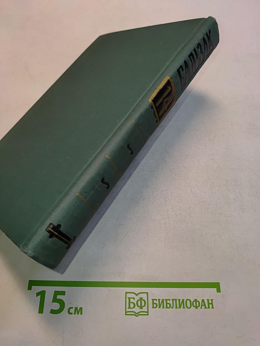 Человеческая комедия. Собрание сочинений в 24 томах. Том 14