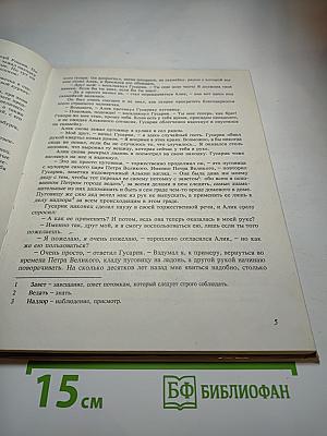 Путешествия по Петербургу с Аликом и Гусариком. Часть 1