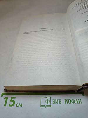 У Великой реки. Битва