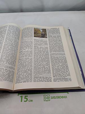 Санкт-Петербург. Петроград. Ленинград. Энциклопедический справочник