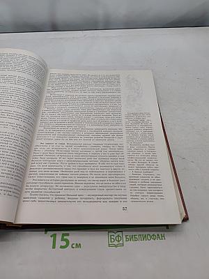 Диалоги о воспитании. Книга для родителей