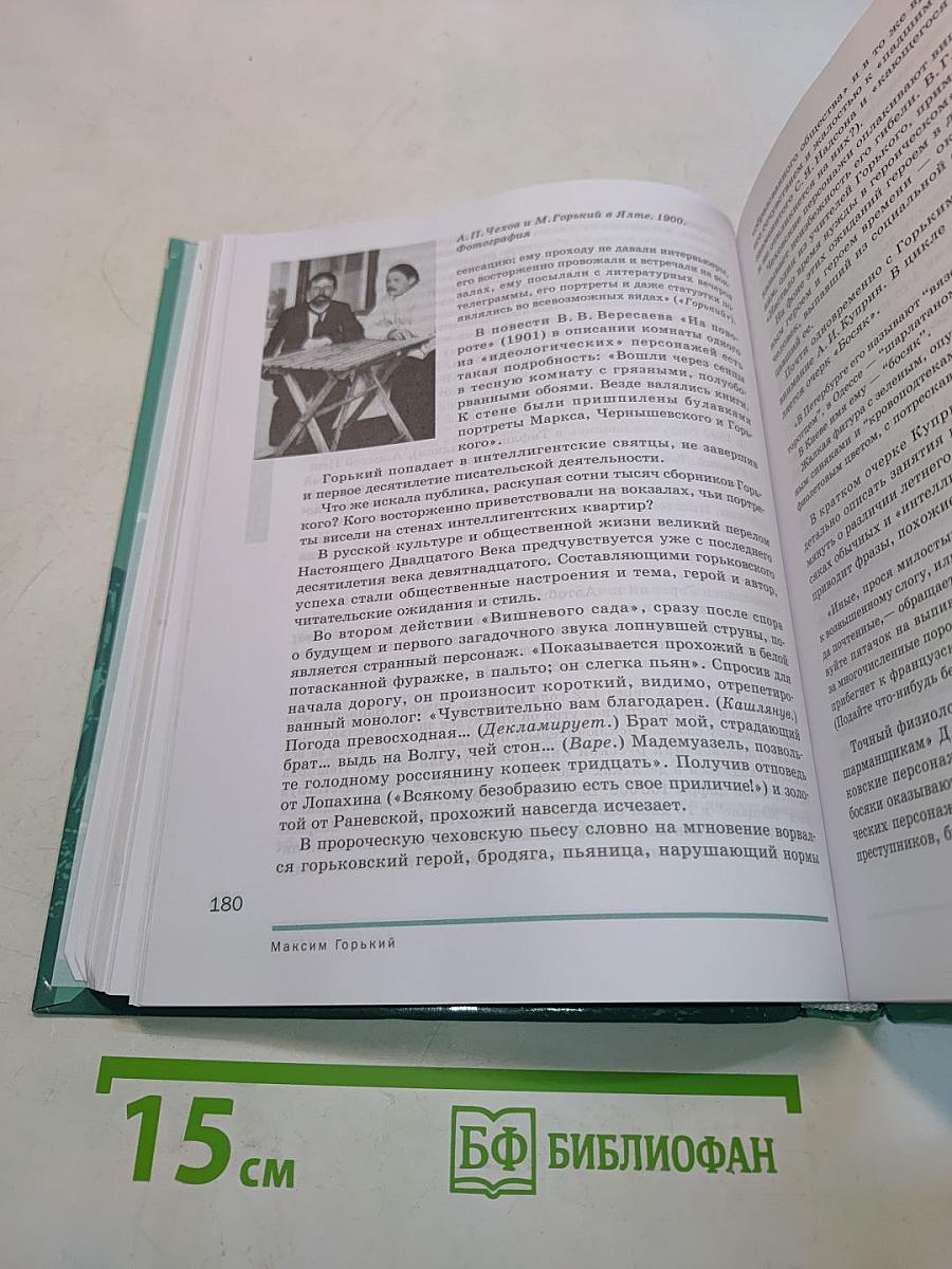 Литература. Учебник для 11 класса. В двух частях. Часть 1. (Базовый уровень)