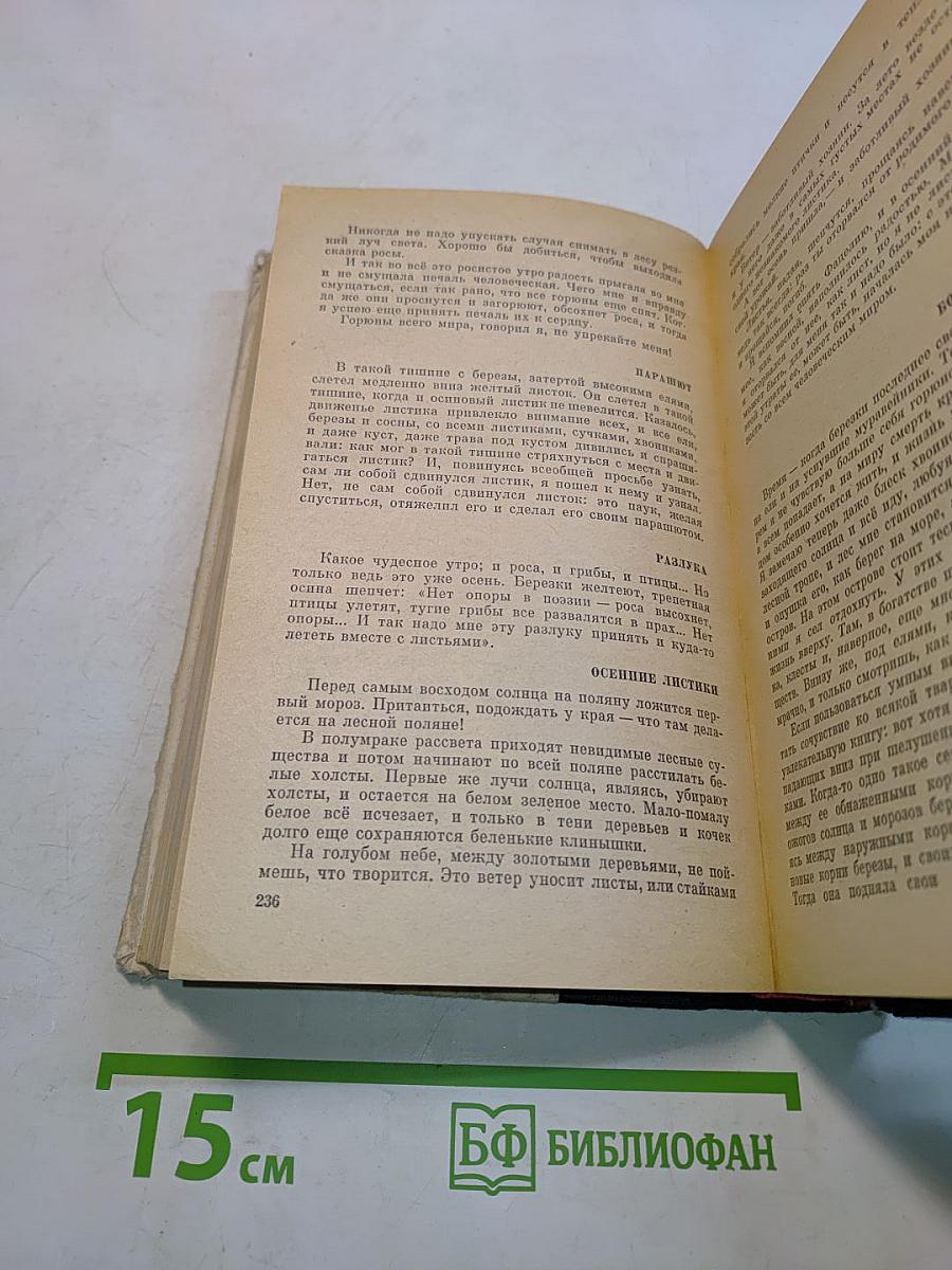 Времена года