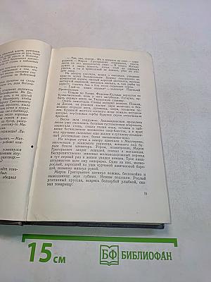 Тихий Дон. Роман в четырех книгах. Книга третья. Том четвертый
