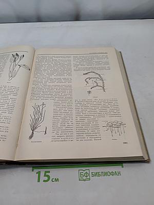 Детская энциклопедия. Том 4. Растения и животные