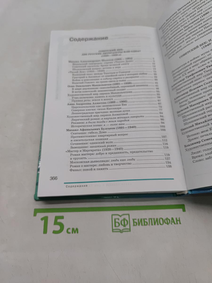 Русский язык и литература. 11 класс. Базовый уровень. Часть 2