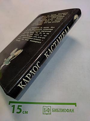 Искусство сновидения. Книга 9