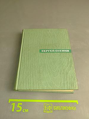 Собрание сочинений. Том четвертый. Проза. Статьи и заметки