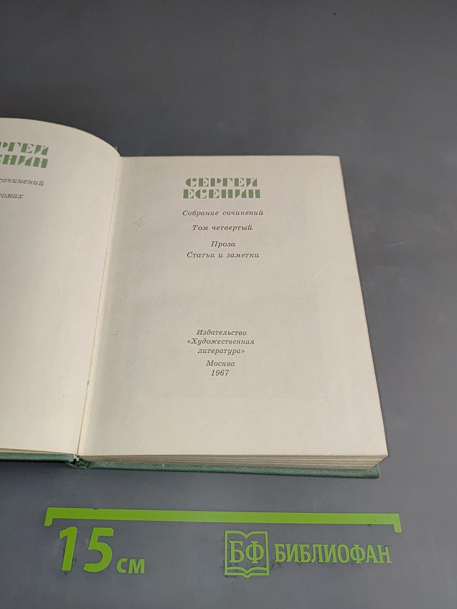 Собрание сочинений. Том четвертый. Проза. Статьи и заметки