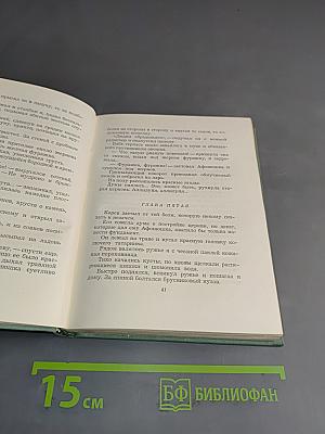 Собрание сочинений. Том четвертый. Проза. Статьи и заметки