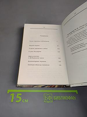 Кумир на бронзовом коне. Образ Петра Великого в монументальной скульптуре Санкт-Петербурга