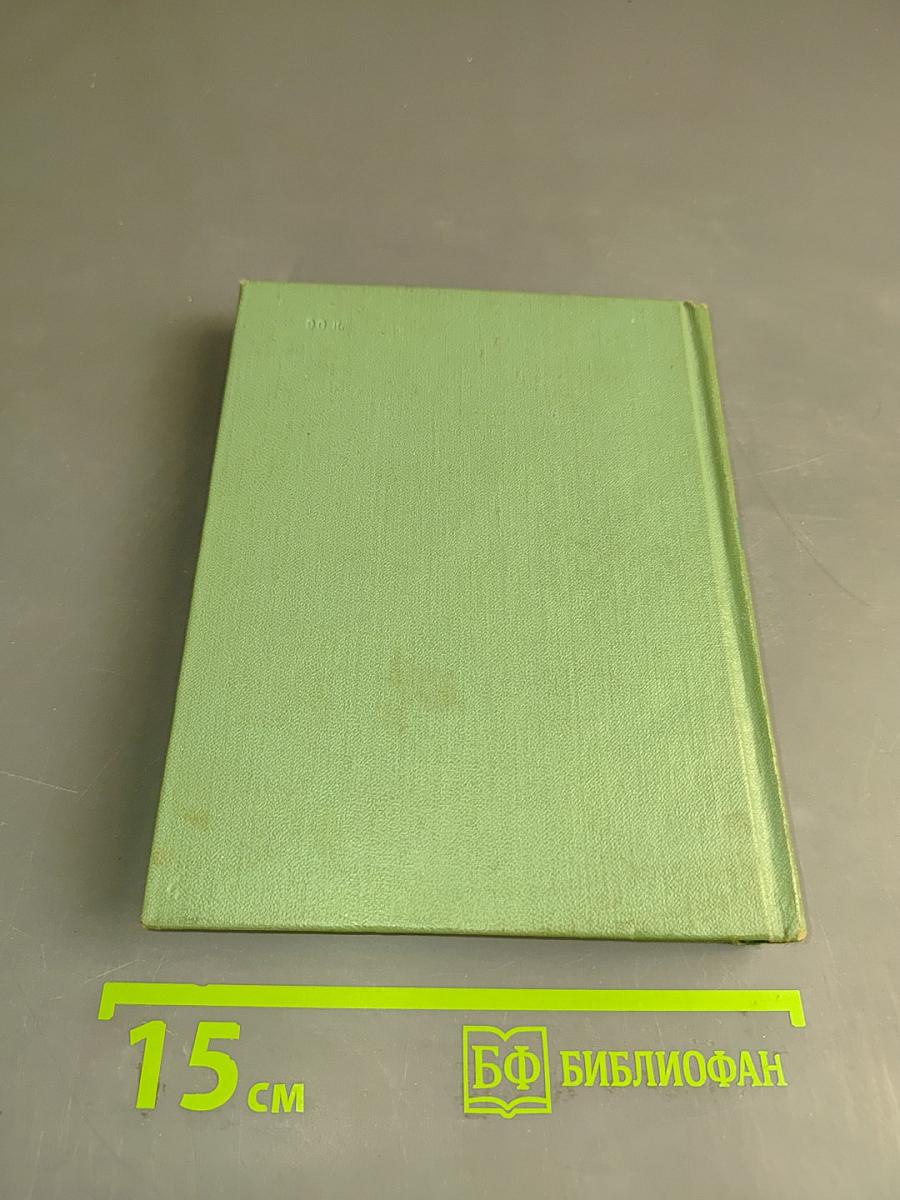 Собрание сочинений. Том второй. Стихотворения. Драматические поэмы (октябрь 1917—1923)
