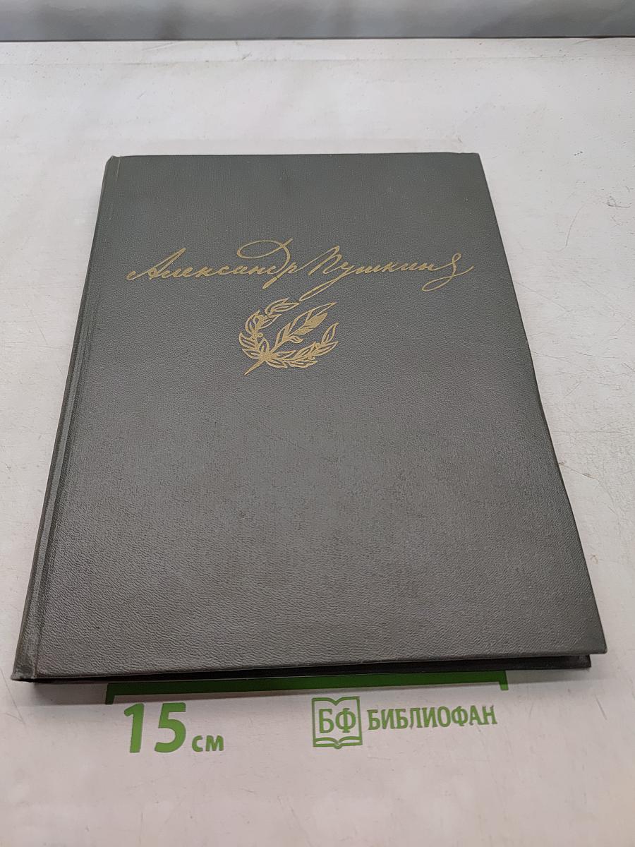 Сочинения в двух томах. Том 2. Евгений Онегин. Драматические произведения. Романы и повести. Путешествие в Арзрум