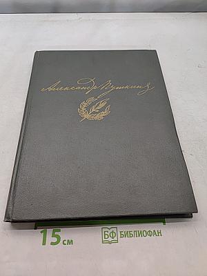Сочинения в двух томах. Том 2. Евгений Онегин. Драматические произведения. Романы и повести. Путешествие в Арзрум