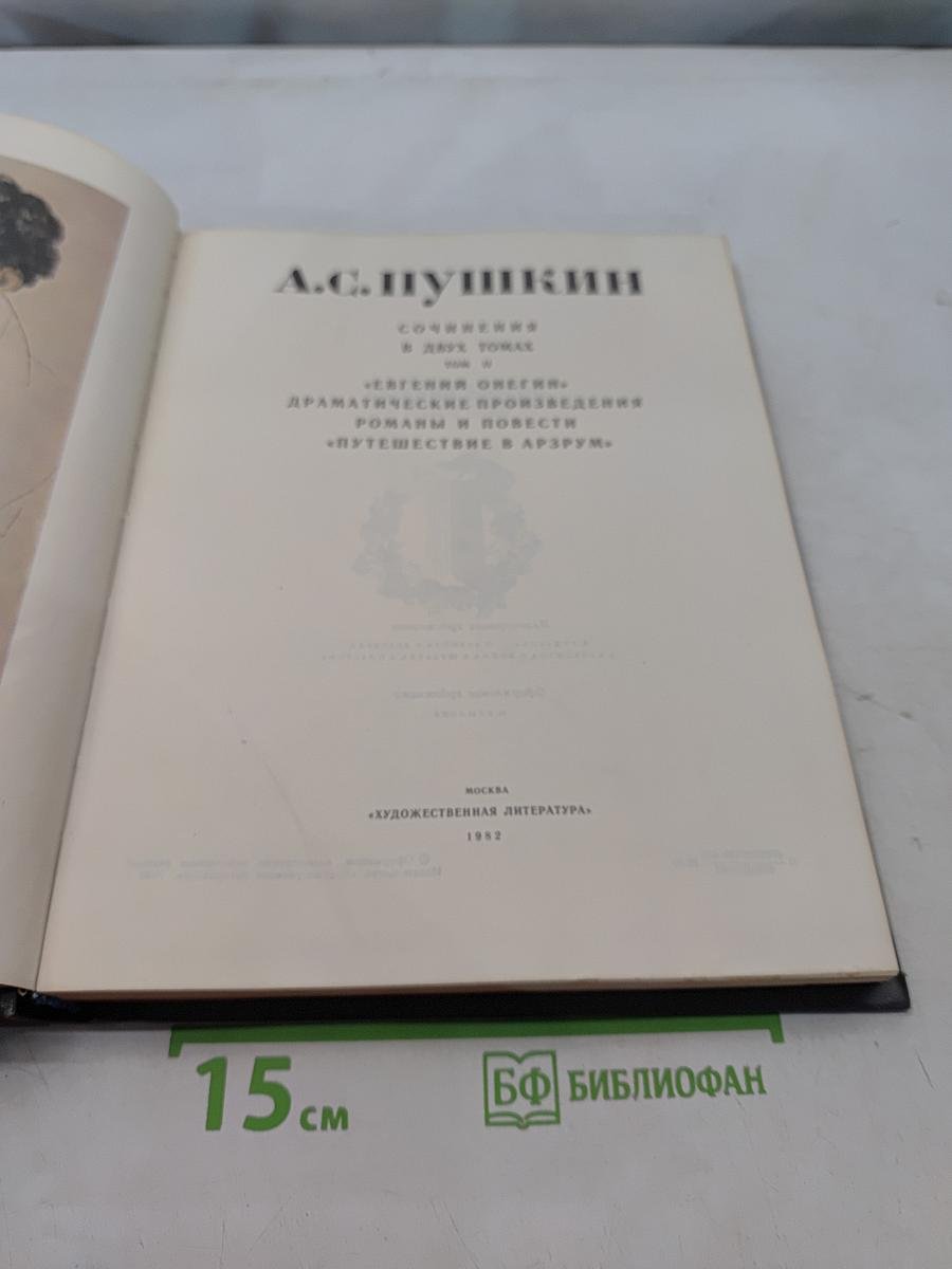 Сочинения в двух томах. Том 2. Евгений Онегин. Драматические произведения. Романы и повести. Путешествие в Арзрум
