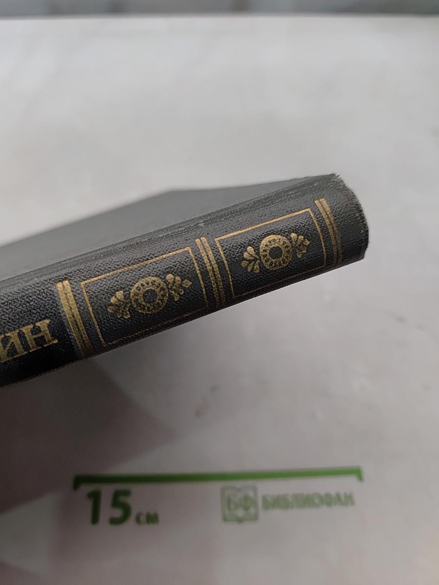Сочинения в двух томах. Том 2. Евгений Онегин. Драматические произведения. Романы и повести. Путешествие в Арзрум