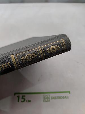 Сочинения в двух томах. Том 2. Евгений Онегин. Драматические произведения. Романы и повести. Путешествие в Арзрум