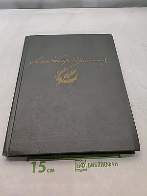 Сочинения в двух томах. Том 1. Стихотворения, поэмы, сказки