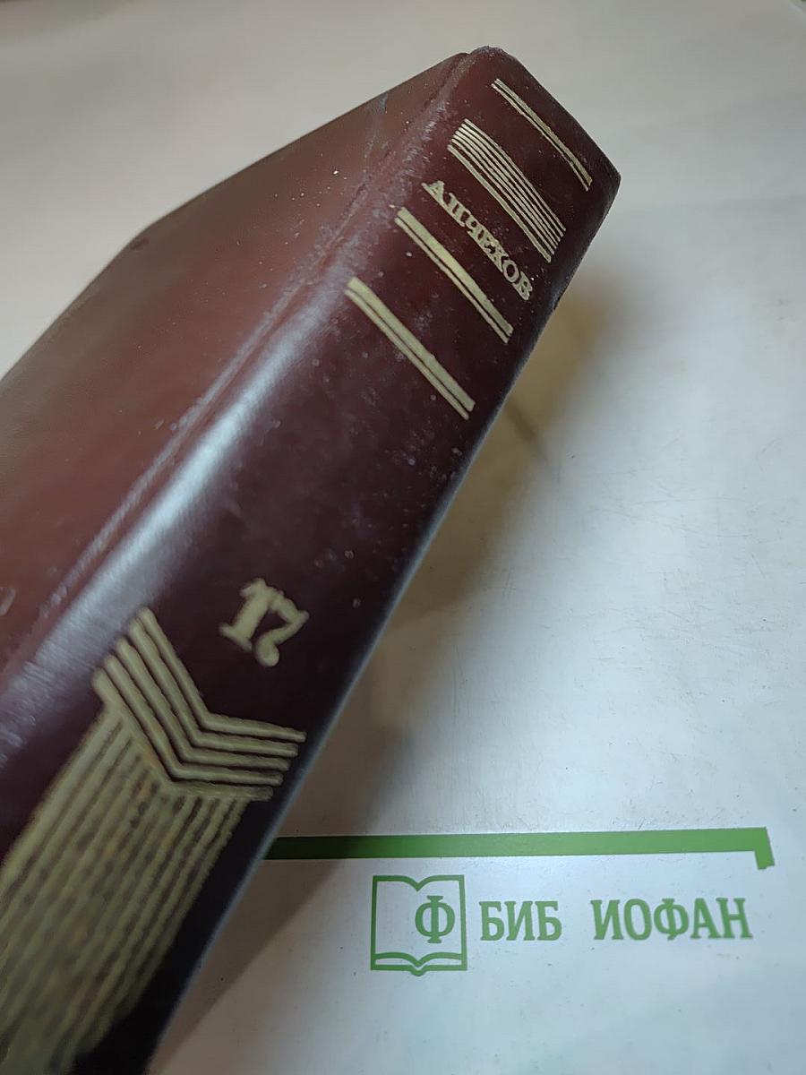 Полное собрание сочинений и писем А. П. Чехова. Серия вторая. Письма. Том 17