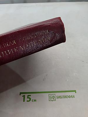Большая Советская Энциклопедия. Том 13