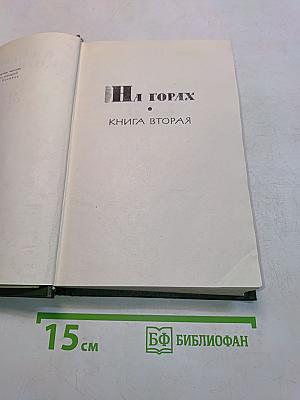 На горах. Книга вторая