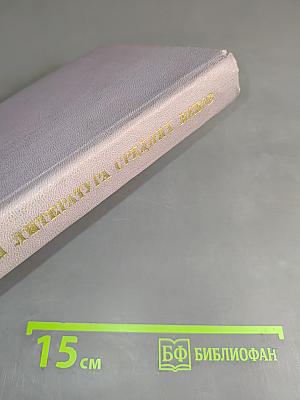 Зарубежная литература средних веков