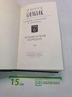 Человеческая комедия. Том 6