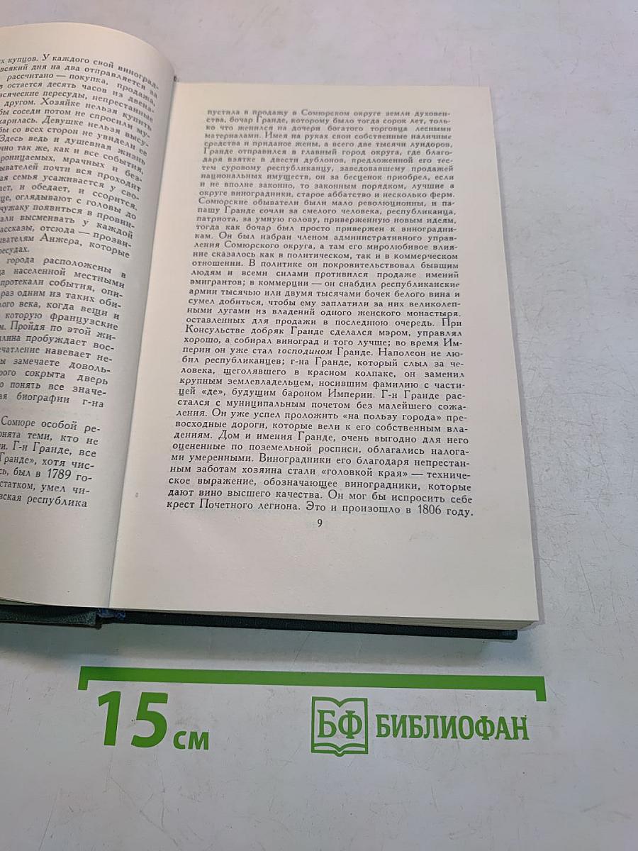 Человеческая комедия. Том 6